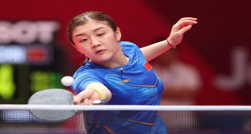 是媒体和球 是媒体和球