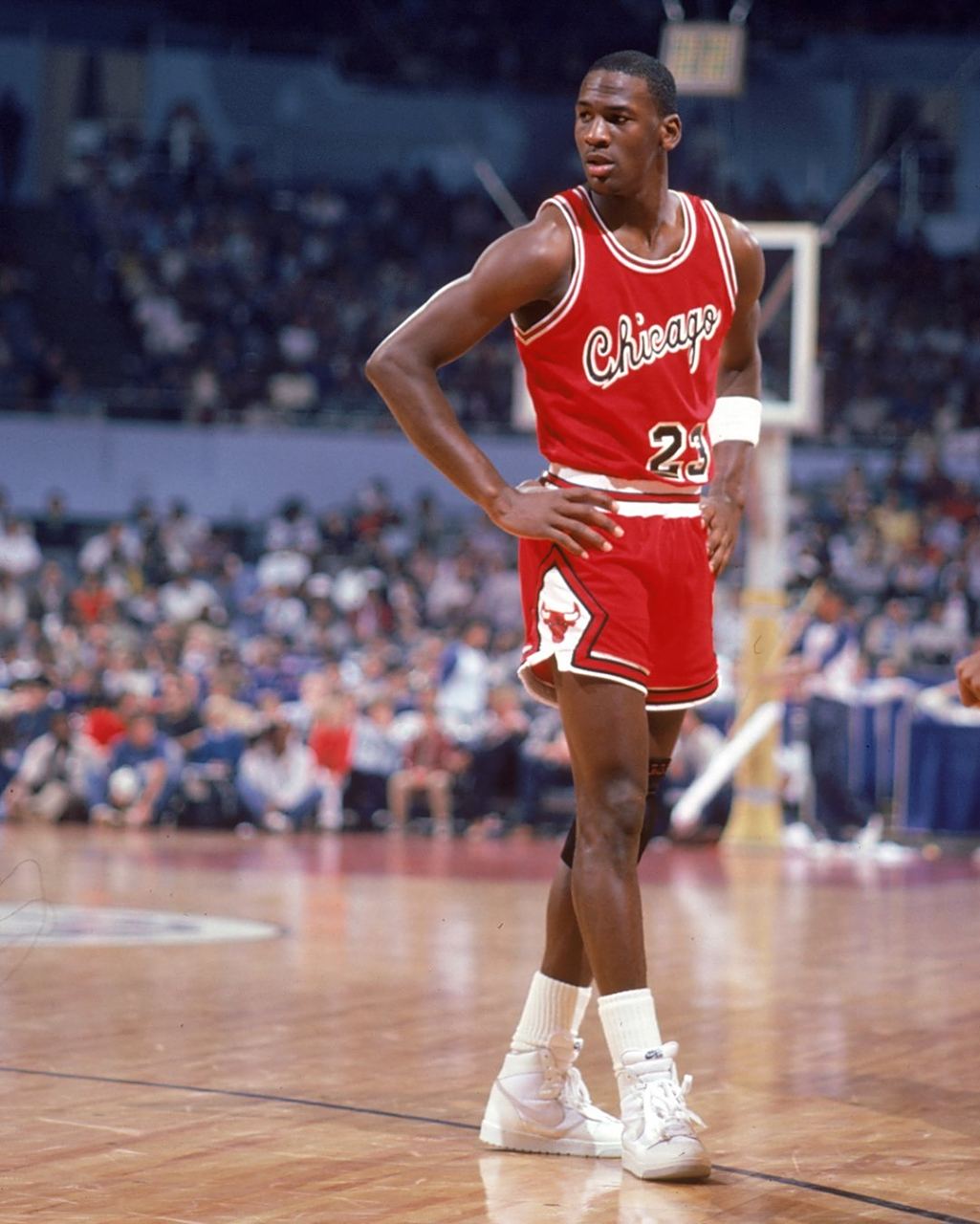 这是一个展 这是一个展