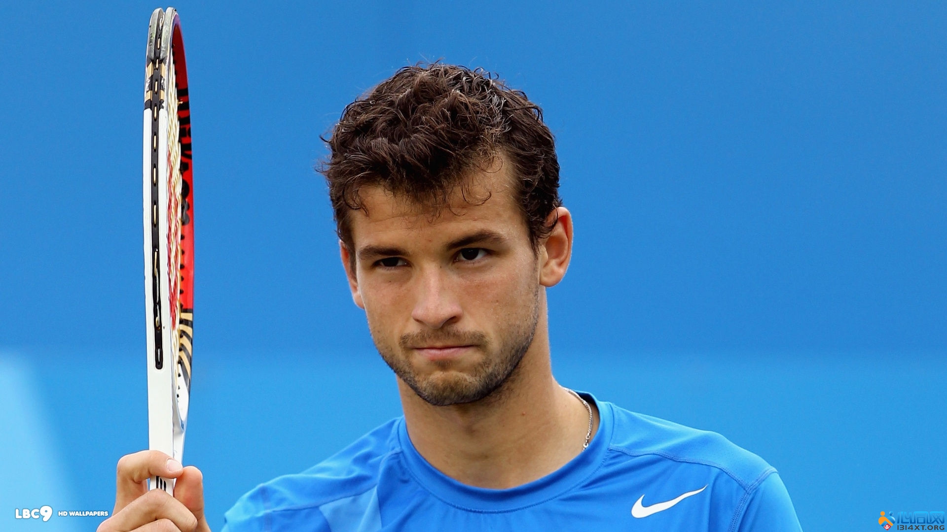 这也是多特 这也是多特