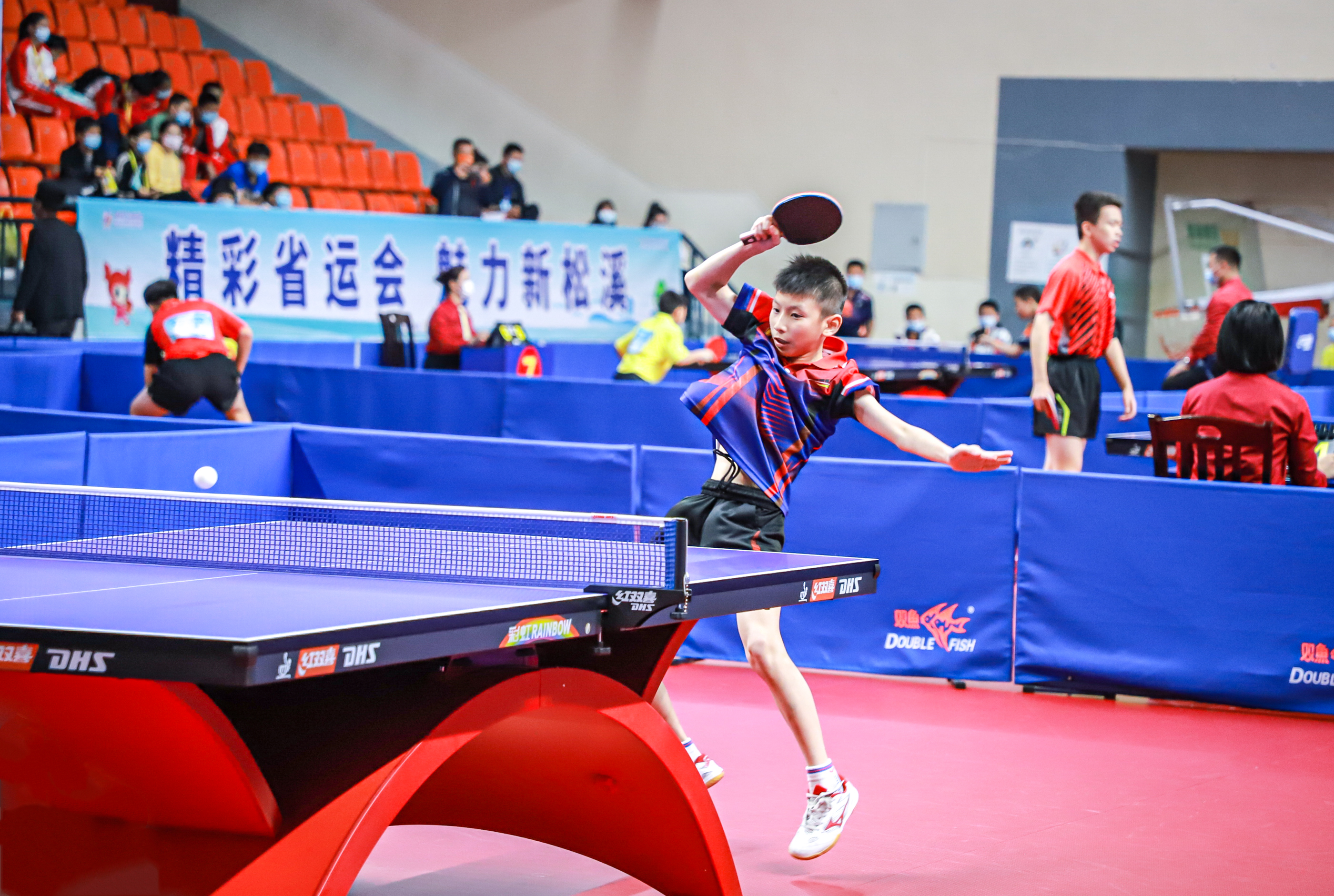 教的决定是 教的决定是